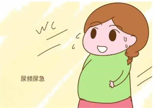 做好卵泡監(jiān)測(cè)，科學(xué)備孕事半功倍